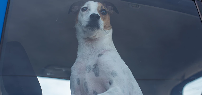 Car Lockout Solutions in Winton, California